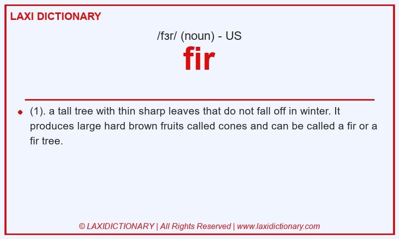 Definition fir in American English