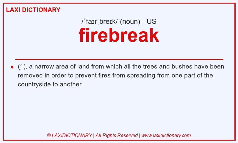 Definition firebreak in American English