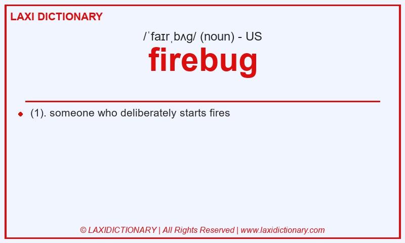 Definition firebug in American English