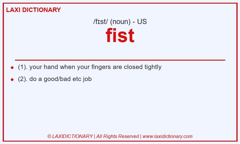 Definition fist in American English