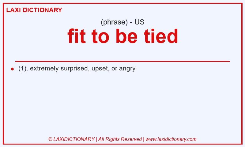 Definition fit to be tied in American English