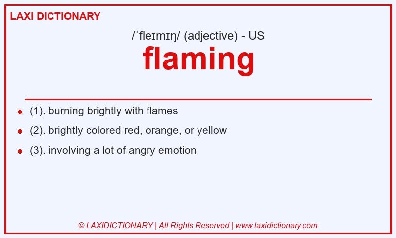 Definition flaming in American English