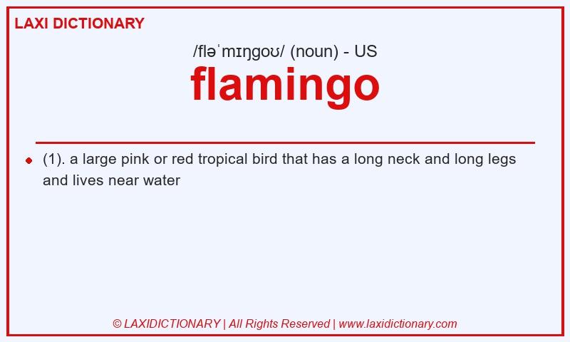Definition flamingo in American English