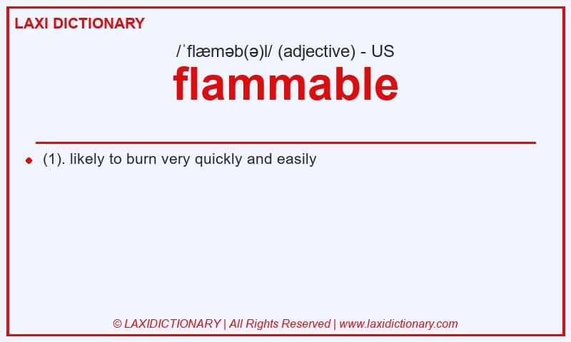 Definition flammable in American English