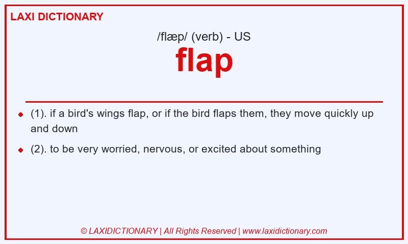 Definition flap in American English