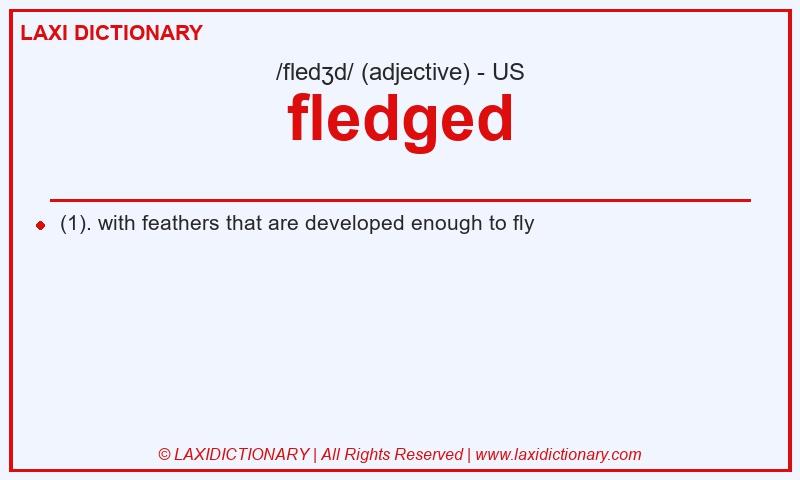 Definition fledged in American English