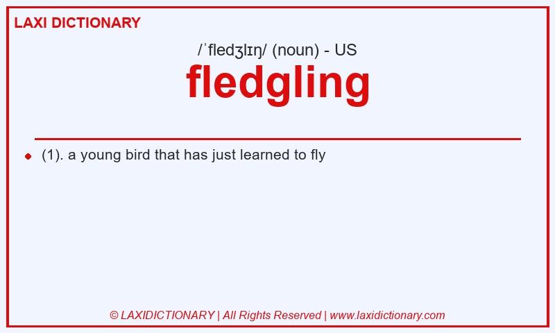Definition fledgling in American English