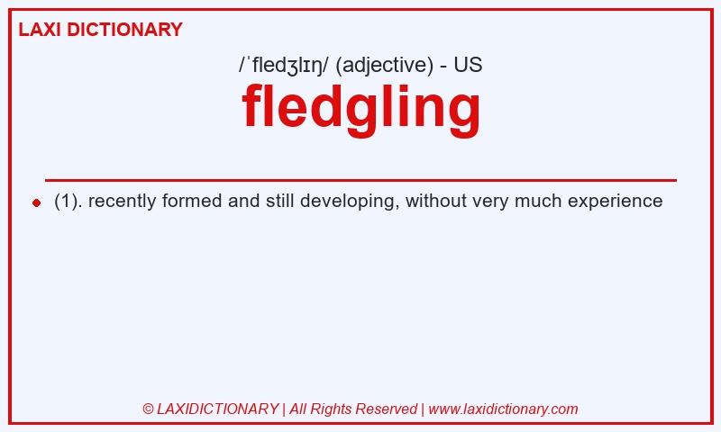 Definition fledgling in American English