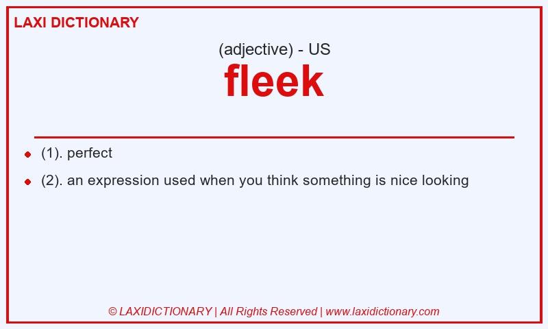 Definition fleek in American English