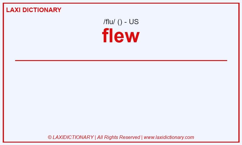 Definition flew in American English