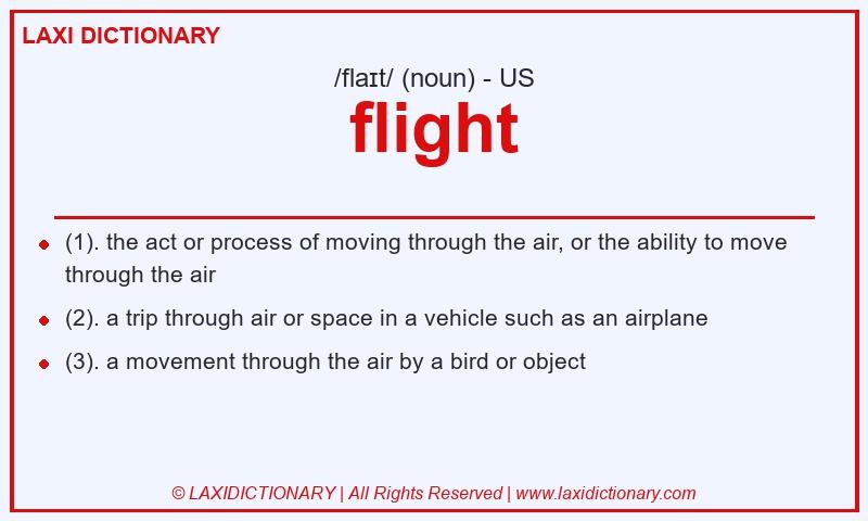 Definition flight in American English