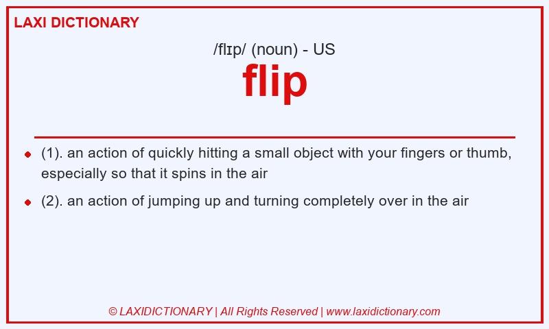 Definition flip in American English