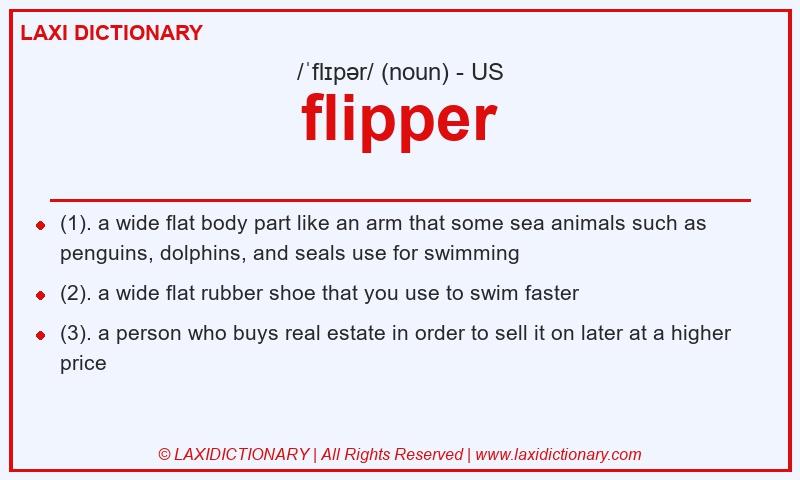 Definition flipper in American English
