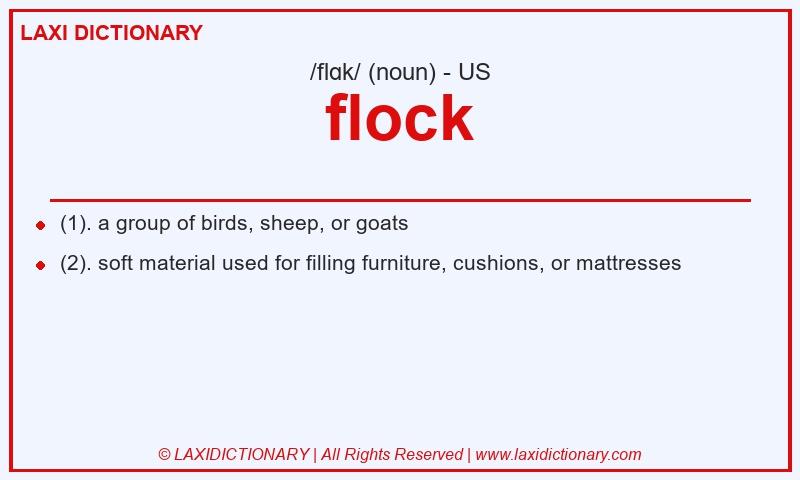 Definition flock in American English