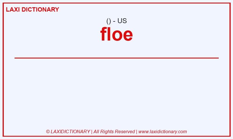 Definition floe in American English