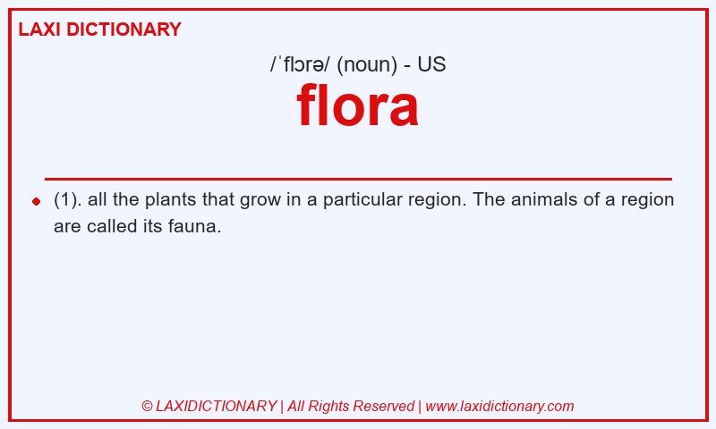 Definition flora in American English