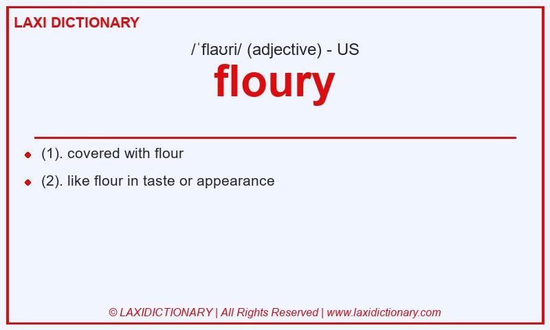 Definition floury in American English