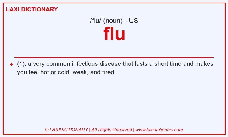 Definition flu in American English
