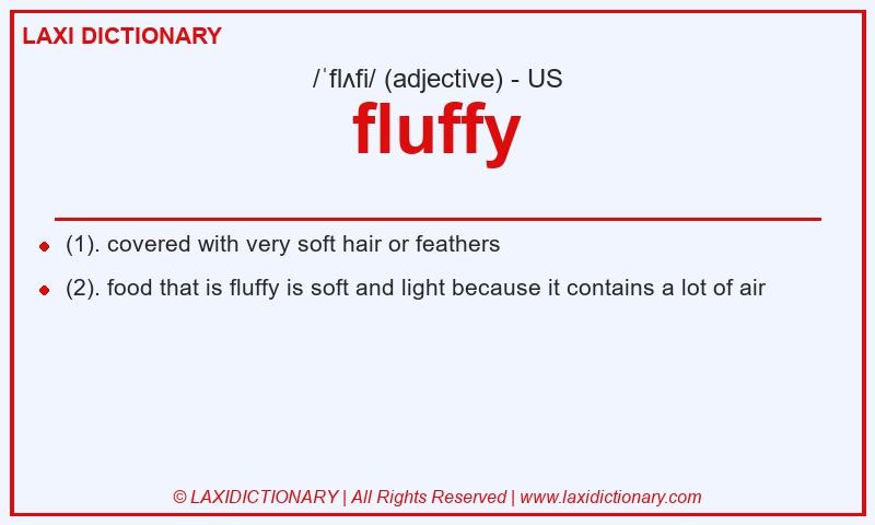 Definition fluffy in American English