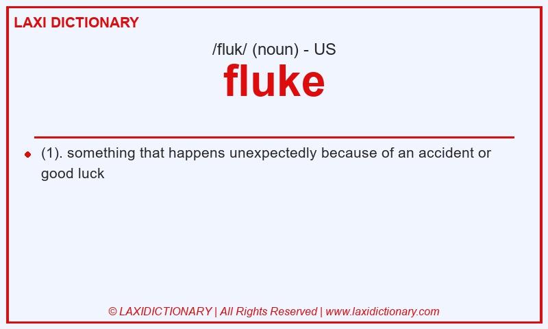 Definition fluke in American English