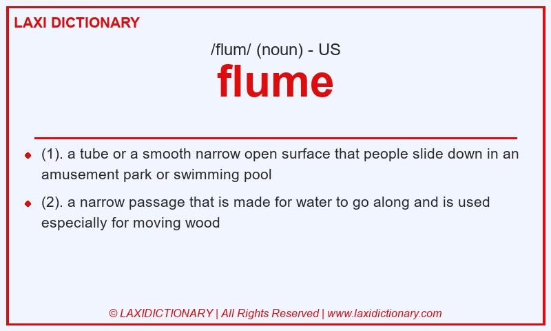 Definition flume in American English
