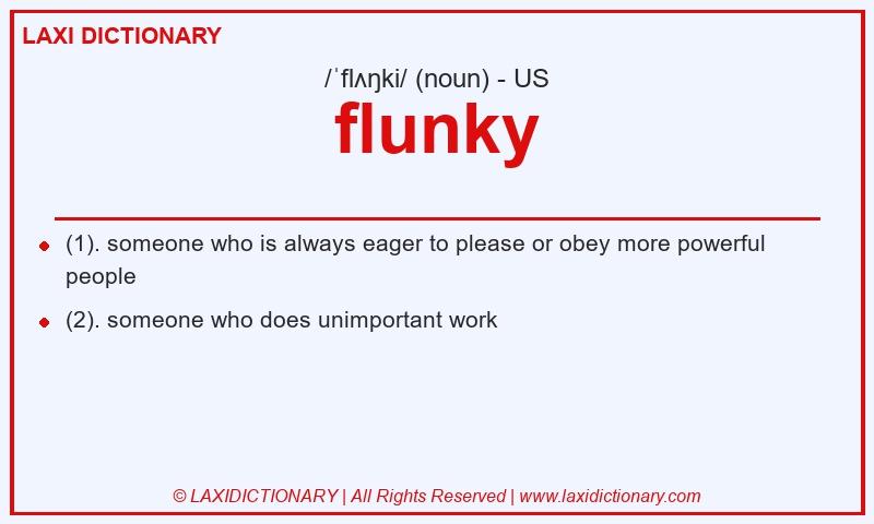 Definition flunky in American English