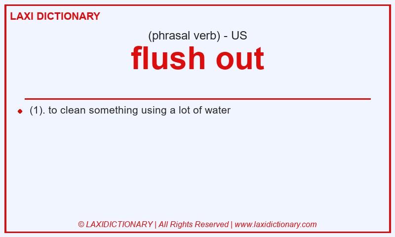 Definition flush out in American English