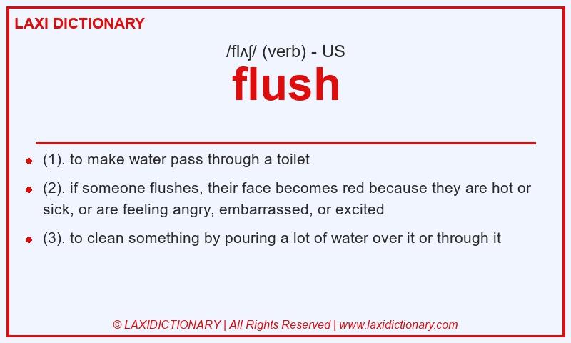 Definition flush in American English