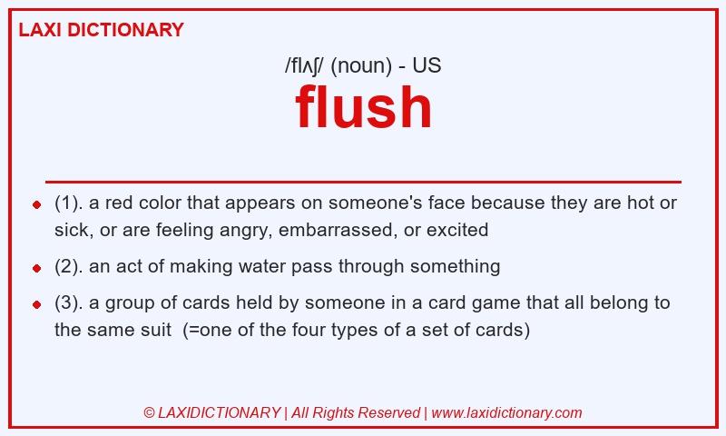 Definition flush in American English