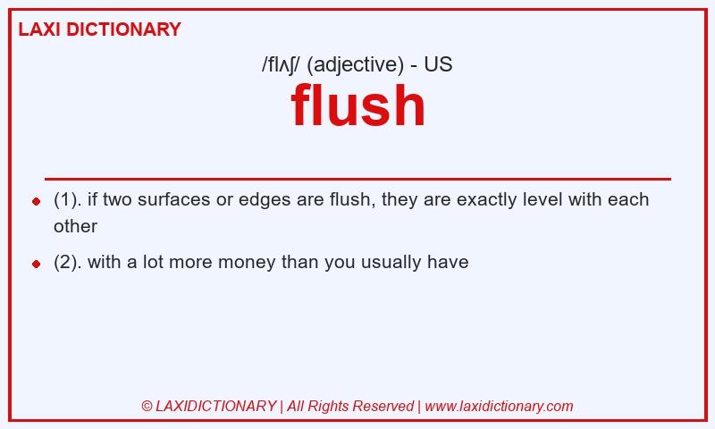 Definition flush in American English