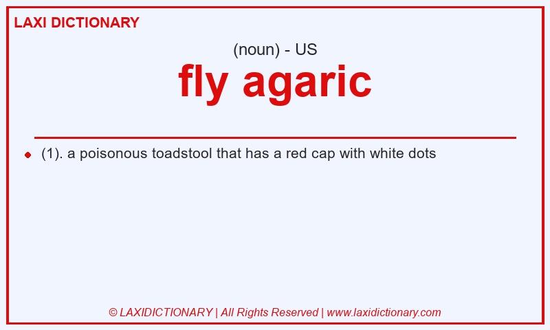 Definition fly agaric in American English