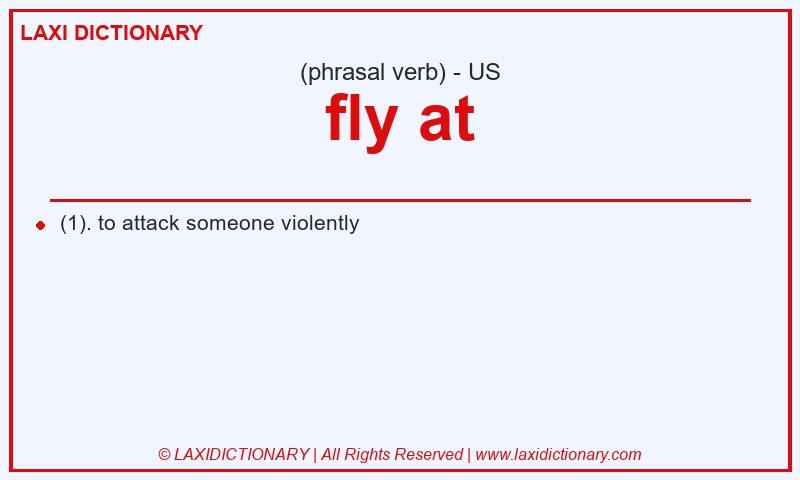 Definition fly at in American English