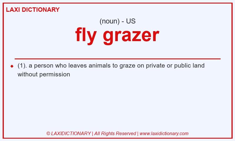 Definition fly grazer in American English