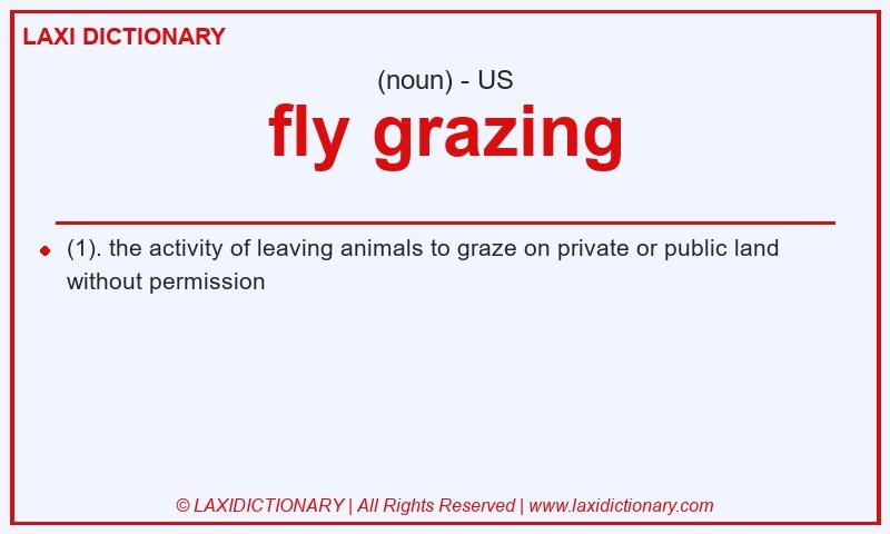 Definition fly grazing in American English