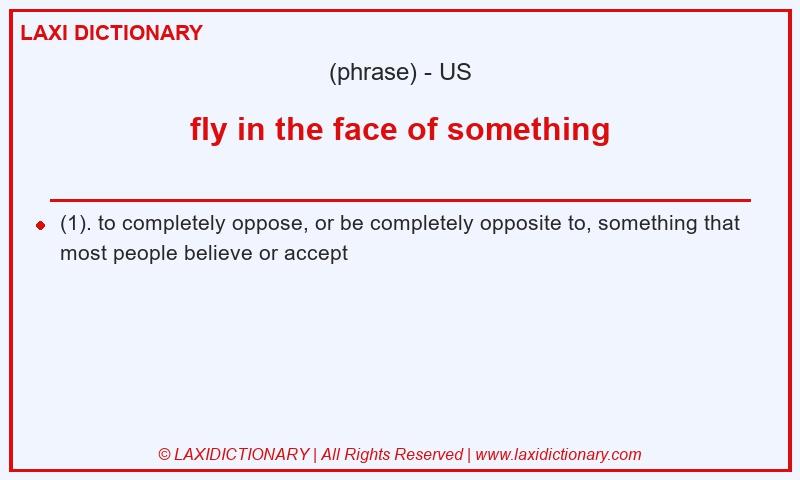 Definition fly in the face of something in American English