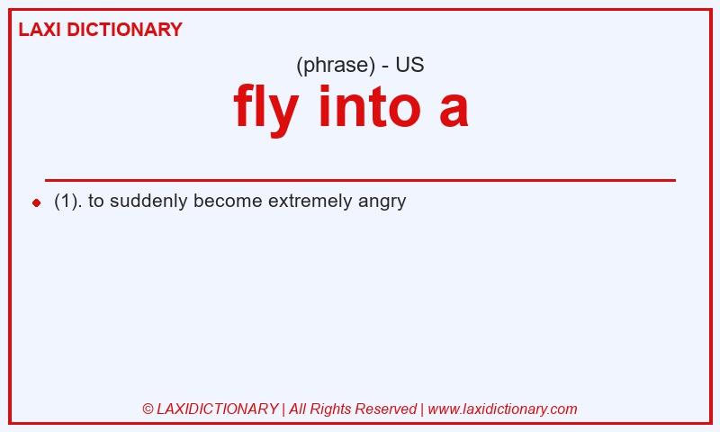 Definition fly into a  in American English