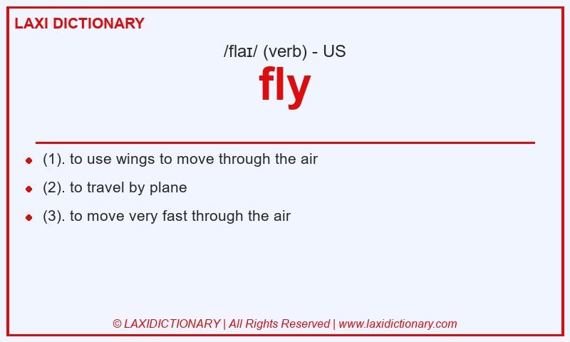 Definition fly in American English