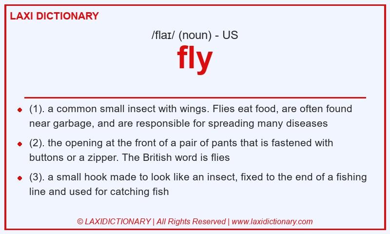 Definition fly in American English