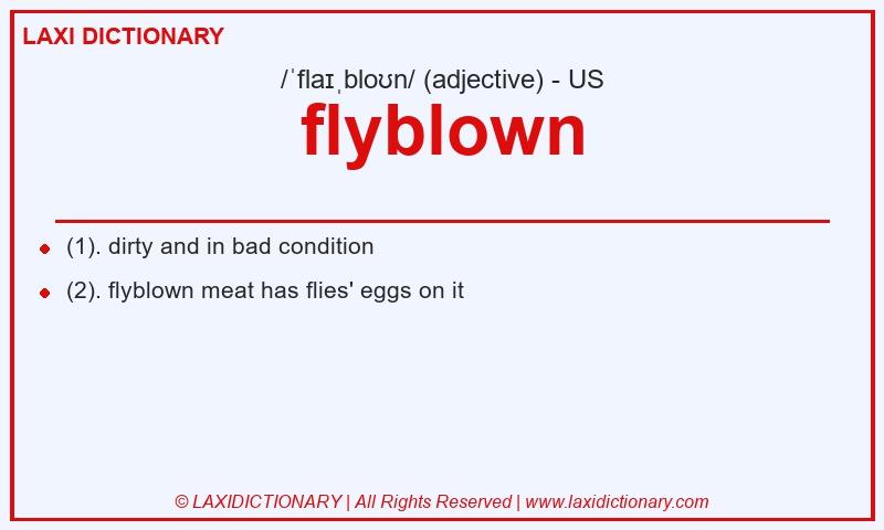Definition flyblown in American English
