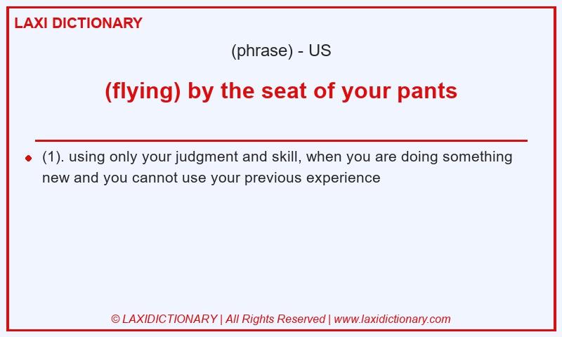 Definition (flying) by the seat of your pants in American English