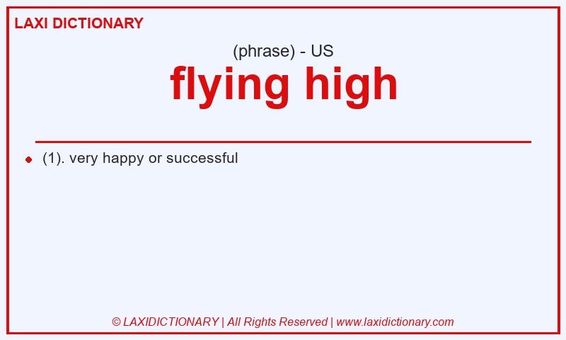 Definition flying high in American English
