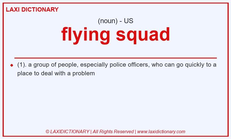 Definition flying squad in American English