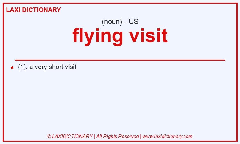 Definition flying visit in American English