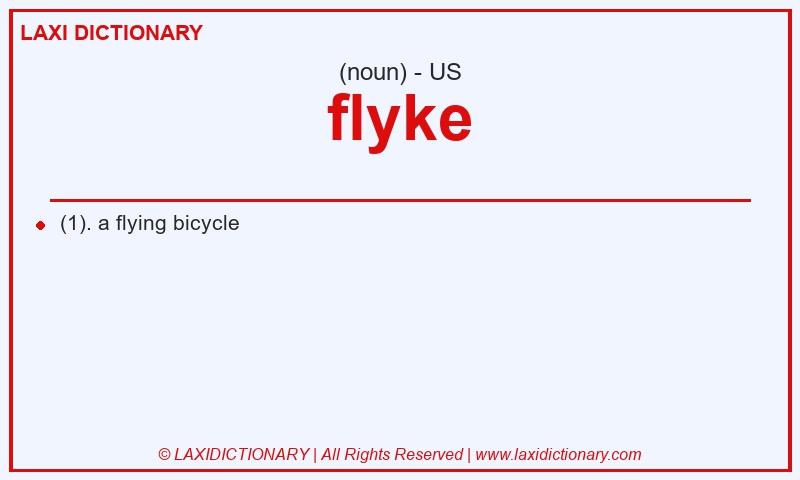 Definition flyke in American English