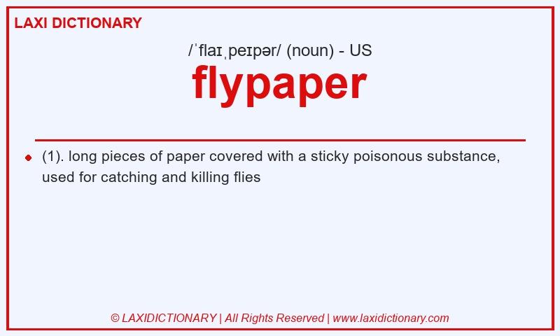 Definition flypaper in American English