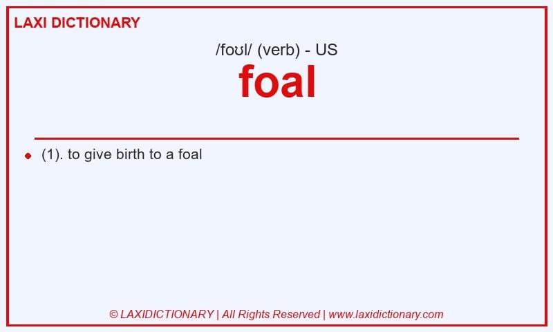 Definition foal in American English