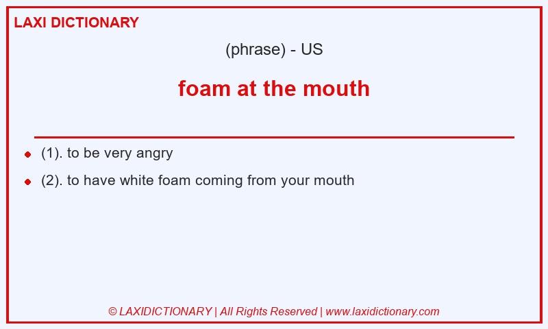 Definition foam at the mouth in American English
