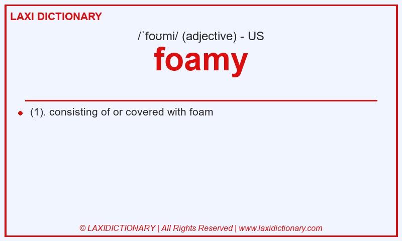 Definition foamy in American English