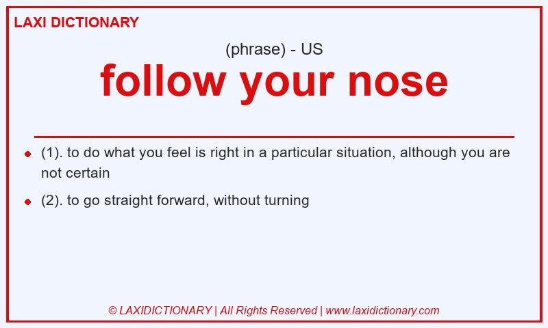 Definition follow your nose in American English