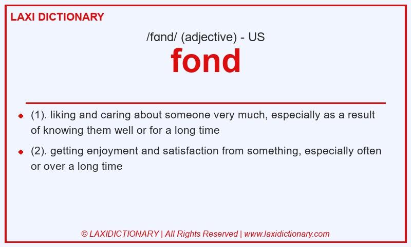 Definition fond in American English